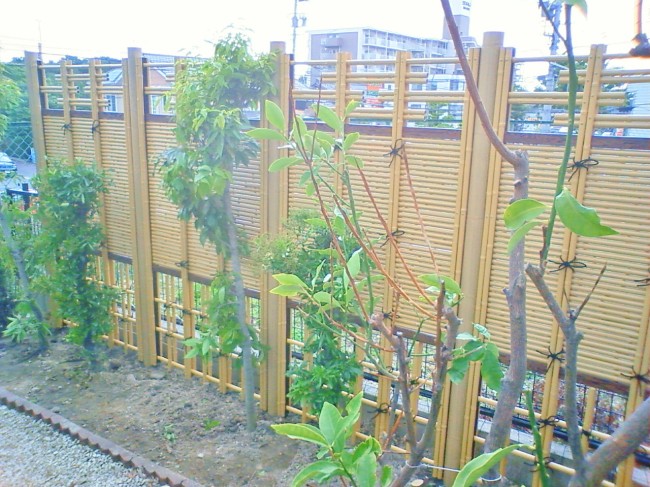 人工竹垣