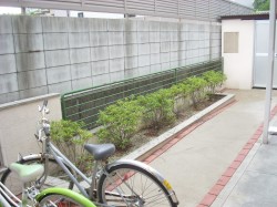 DSCN0331 (2)