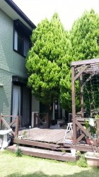 20140815_132828 (2)