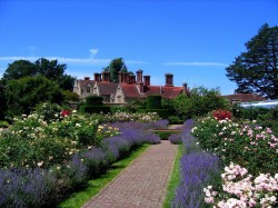 England-14_R
