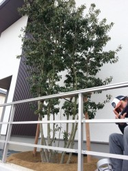 名東区　外構　植栽