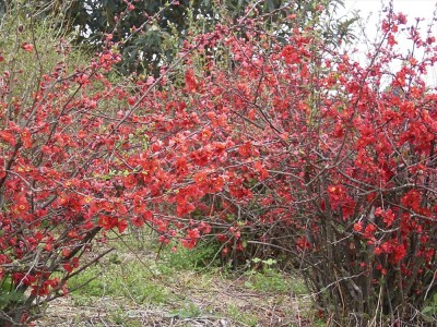 RIMG0045_R