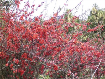 RIMG0046_R