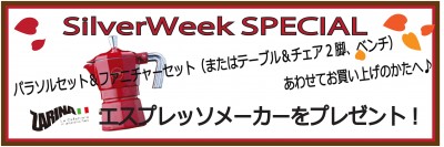 SW SPECIAL2015
