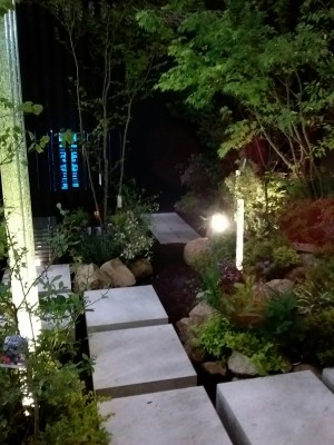 20160513_173737_resized