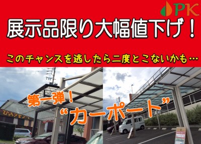 展示処分