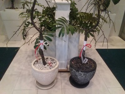 20171229_182128_resized